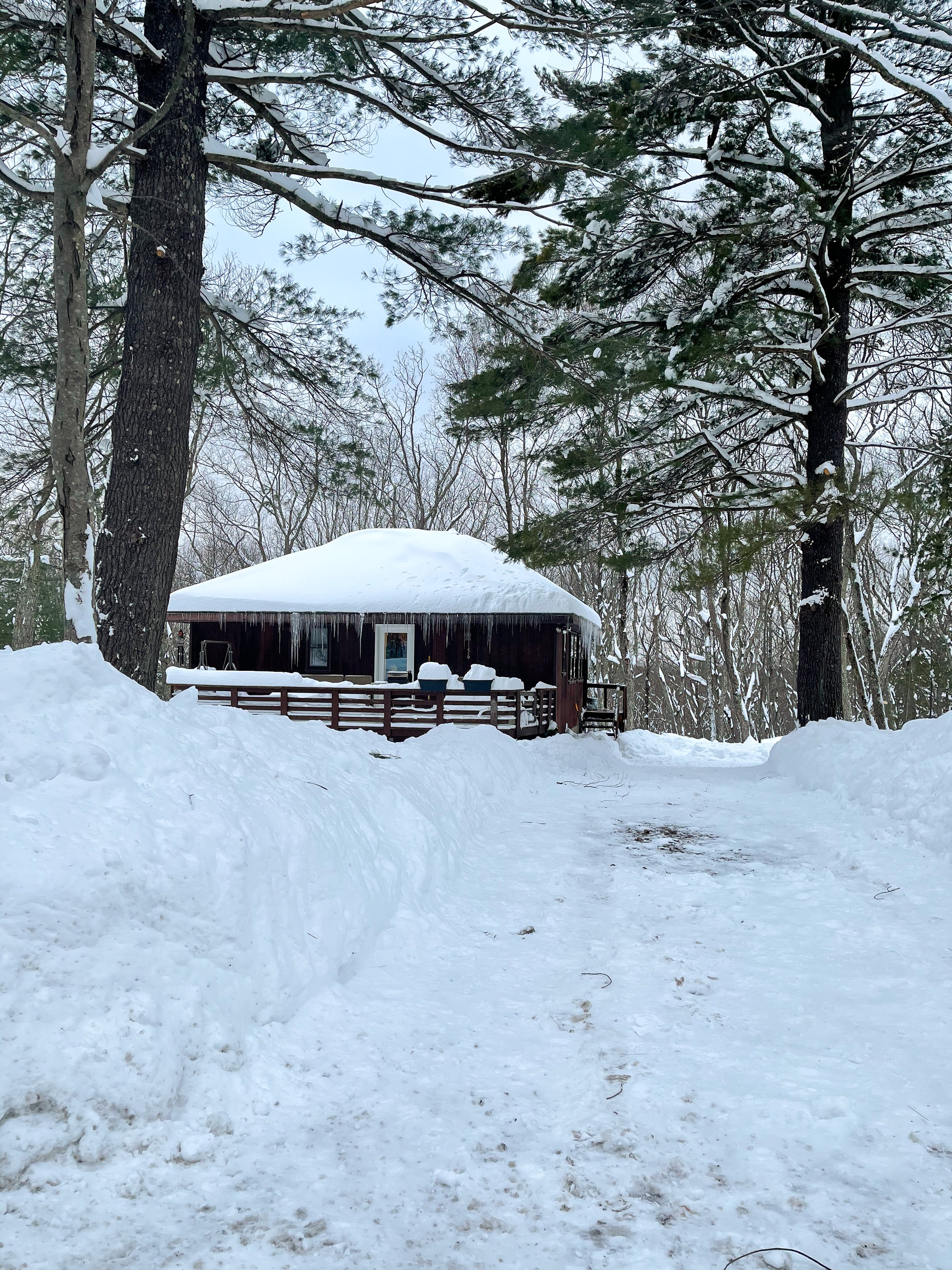 Winter Cabin, Cabin Renovation, Black and White Cabin